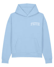 Load image into Gallery viewer, FETII Twin Cherub Hoodie Sky Blue

